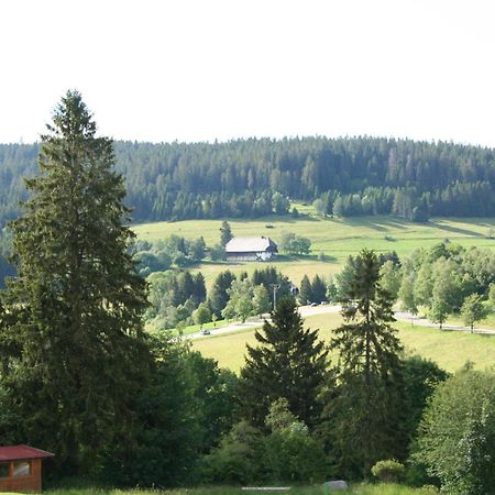 Ferienwohnung Bergsee Schluchsee Exterior foto