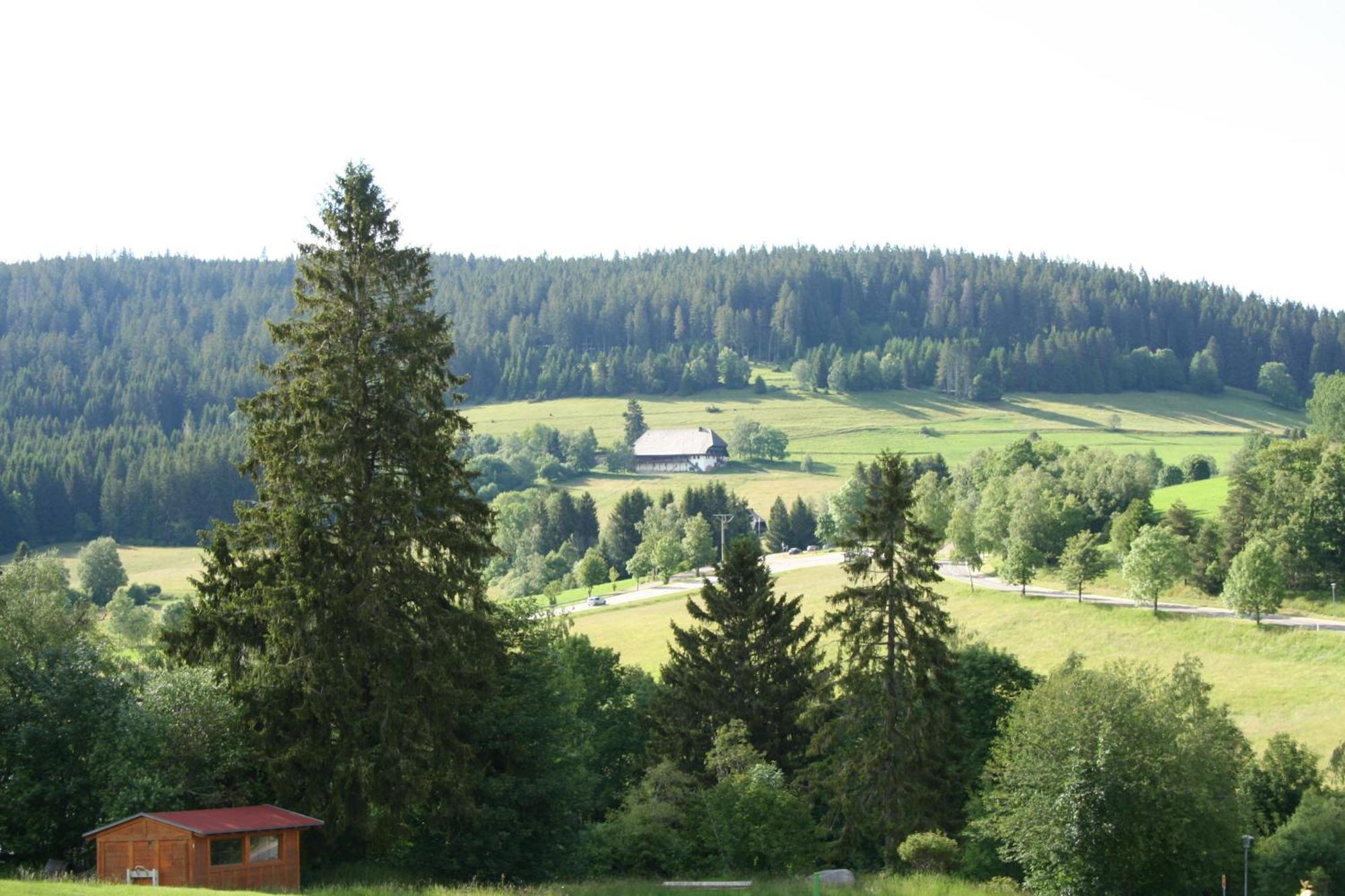 Ferienwohnung Bergsee Schluchsee Exterior foto